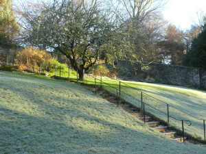 The sun beginning to thaw the frost on the bank leading to the terrace garden.